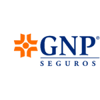 Seguros-gastos-medicos-Seguros-Seguros-GNP.png